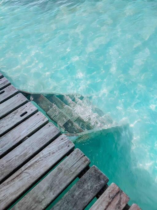 Vacation Home Blue Lotus Caye Caulker Esterno foto