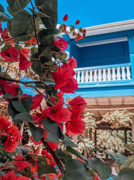 Vacation Home Blue Lotus Caye Caulker Esterno foto