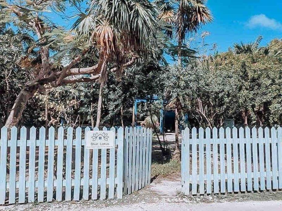 Vacation Home Blue Lotus Caye Caulker Esterno foto